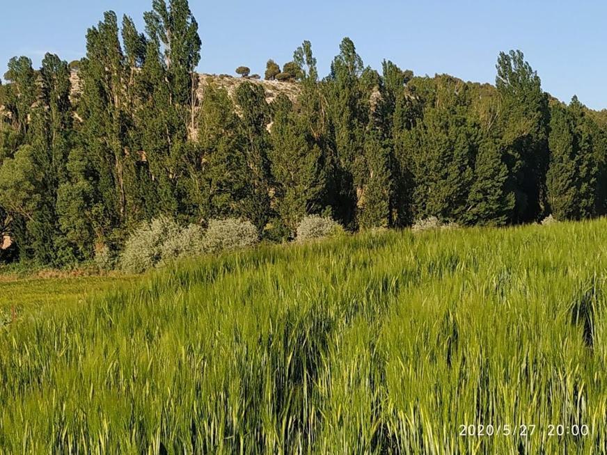 Casa Rural La Morena Castroverde de Cerrato 外观 照片